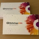 북부유전자 | DNA 유전자 검사키트 마이헤리티지(MyHeritage) 내돈내산 후기 : 한프커플 조상찾기/한국 주문 배송...