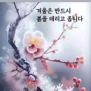 서향희(徐香姬)여사 이미지