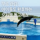 해양공원 공연장 | 오키나와 가족 여행 추천 추라우미 수족관 후기 &amp; 관람 꿀팁 총정리