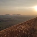 애월 밤별 이미지