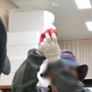 서울대학교 대동물병원 | 평창 농장동물교육 기본과정 후기