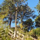 거제삼성호텔 이미지