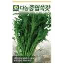 씨앗