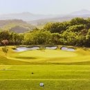 더아리아 이미지