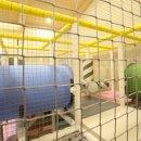 키놀키즈 이미지