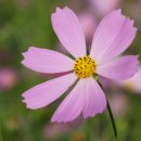 전세·공납·역, 조선 수취 제도의 변천 : 영정법·대동법·균역법 한눈에 비교 헷갈림 끝!