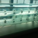 벽제초등학교 이미지