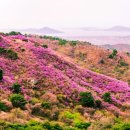 개화2리마을회관 이미지