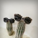 눈사랑안경 이미지