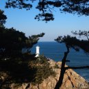 낙산7호넷비치 이미지