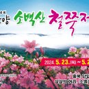 헬로단양