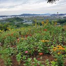 동산샘터 이미지