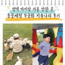 특별한동물가게 평택점 | 평택 아이랑 가볼 만한 곳 동물체험 무궁화 치유나라 후기
