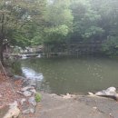 늘소나무산장 이미지