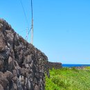 한동환해장성 이미지