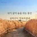 동병상련(同病相憐)의 마음으로~~~ ( 홀 사모의 쉽지 않는 선택 그 후) 이미지