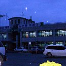 생활원예 야간 이미지