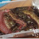 포구로2L 이미지