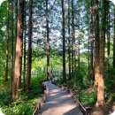 청학로132번길5 | 경기도 오산 가볼만한곳 물향기수목원 무료입장 주차 요금 시간