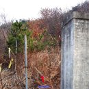 제159회 정기산행(전북 고창 화시산) 이미지