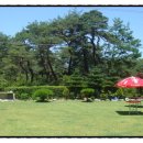 솔숲민박 이미지