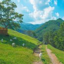 유구목장 이미지