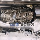 D00147 Daum카페