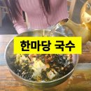 [경북 영천] 인심과 가성비 넘치는 로컬 잔치국수 맛집 내돈내산 후기_한마당국수