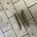 스피드메이트 한신점 이미지