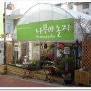 나무야놀자 이미지
