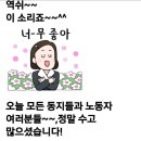 일등카마스타 이미지