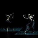 몸으로 그리는 예술, 현대무용의 세계 이미지