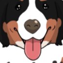 신남케어 이미지