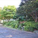 상록공원 게이트볼장 이미지