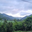 백아면사무소 이미지