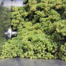 청수영농조합 이미지