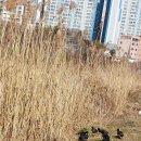 좌4동-9 이미지