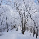 케이투산장 Daum카페