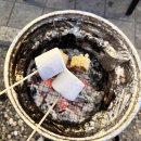 럭셔리 안성(M) 글램핑장 | 안성 럭셔리M글램핑 후기 / 경기도 글램핑장 추천