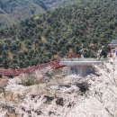 산청 동의보감촌 이미지