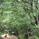 대방농원 이미지