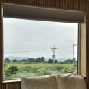 서광목장 | 제주 애월 숙소 &lt;르빌리지애월 1호점 더 포레스트빌펜션&gt; C-1 숙박 후기
