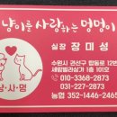 냥이를 사랑하는 멍멍이 이미지