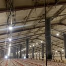 금빛 태양광발전소 이미지