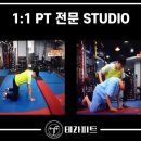 테라피트 이미지