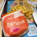 비고리조트 16 이미지