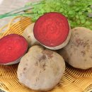 자연대로 이미지