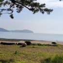 나로힐링캠핑장 이미지