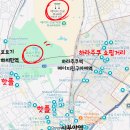 신성공원 | [도쿄 여행기] Ep.9 도쿄 힐링 코스 추천 l 시부야 요요기공원 러닝 &amp; 메이지신궁 방문 후기