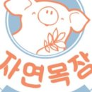 자연목장 이미지